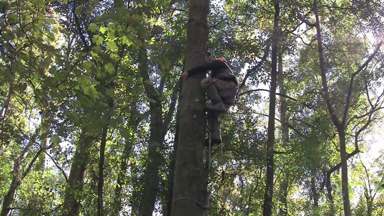 Lone Wolf Stand Setup YouTube