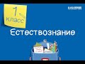 Естествознание. 1 класс. Что такое движение /20.12.2020/