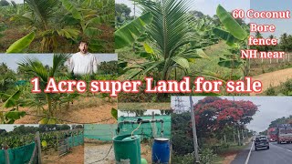 1 acre super land for sale near NH 60 Coconut Bore Fence Begur 2 km Mysore 40 km Bengaluru 170 km 