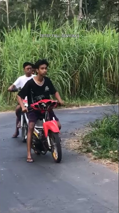 setting shogun 125