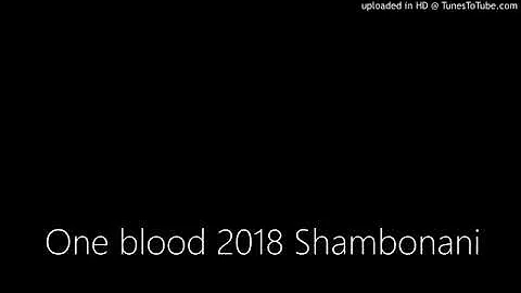 One blood 2018 Shambonani