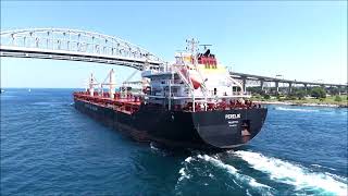 PERELIK / NAVIBULGAR - Upbound Port Huron, Michigan 07-13-2026