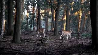 Einen Guten Start In Die Neue Woche... 3006