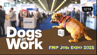 Socialisation Skills-FMP Jobs Expo (0218)