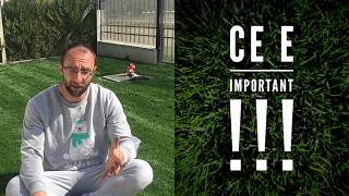 Udarea Gazonului Dupa Semanare Sau Suprainsamantare - Semintegazon.ro