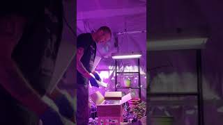 HeartStrong Garden: Famurs LED light Unboxing