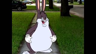 BIG CHUNGUS