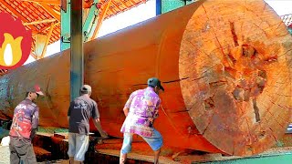 Found A Strange Object Sticking Tightly To The Edge Of The Wood Sawmill