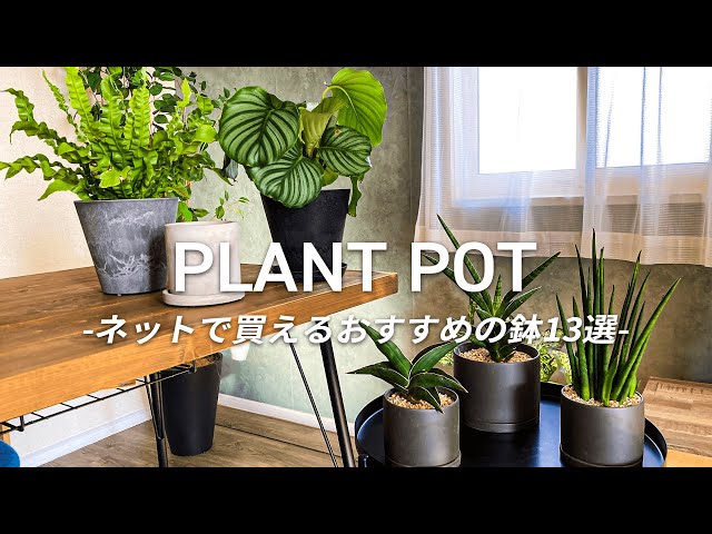 13 recommended pots and pot covers that can be purchased from