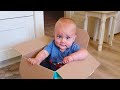 Cutest Babies Playing With Box: Who Want Sit In There Like Baby? Funny Video