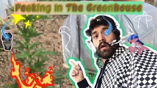Unveiling My First Time Grow