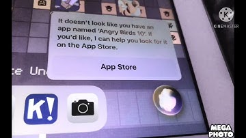 Angry Birds 10 Multi Rendering