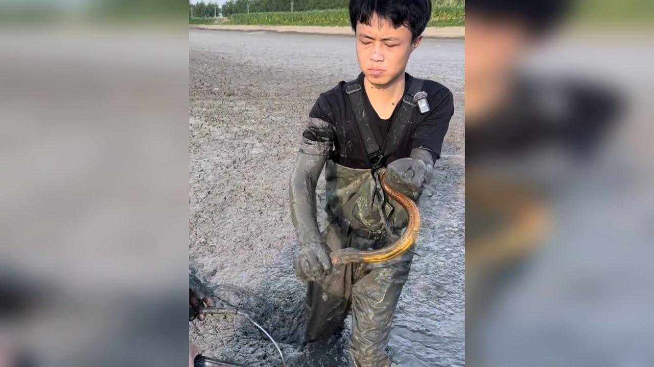 花600块在60亩的鱼塘抓两个小时鳝鱼，究竟有没有赚