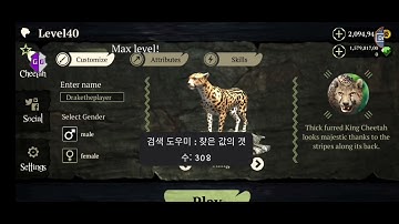 The cheetah/panther online - How to make a symbolic name - name hack