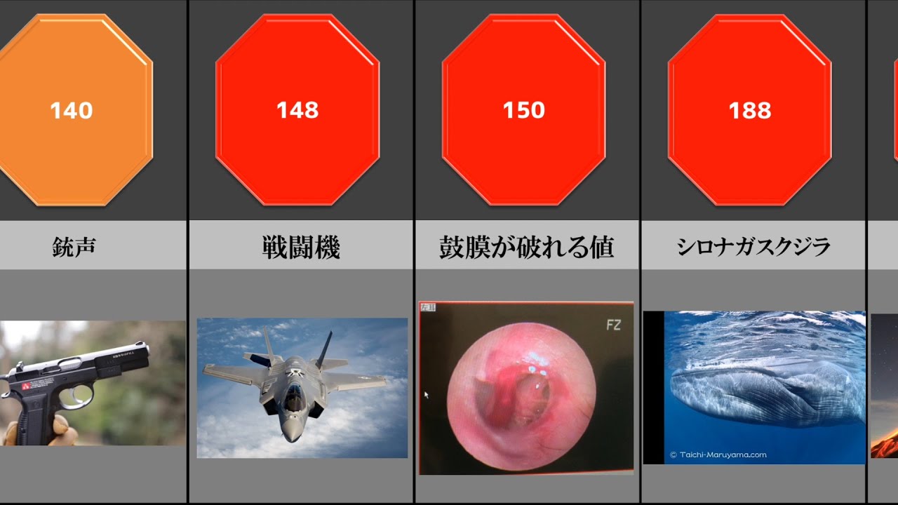 この世で最もうるさい音ランキング 鼓膜が破れるのは150db Youtube