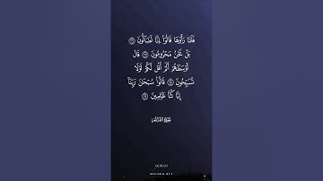 ⁕ سورة القلم - القارئ الشيخ هاني الرفاعي 🌿🧡.
