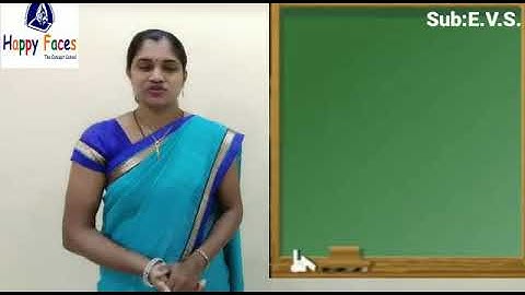 Grade2/EVS/Recreation