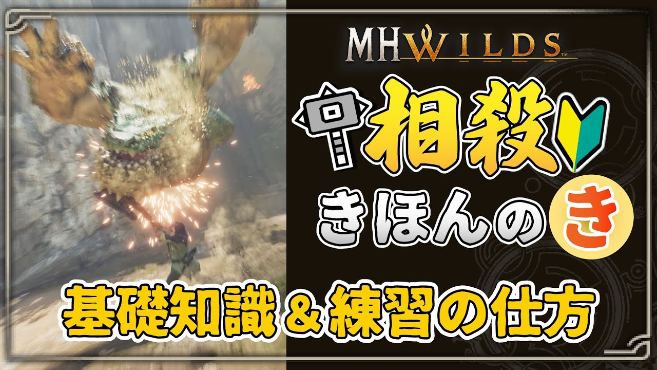 【初心者向け】貴方もハンマー相殺マスターに！基礎知識と練習方法を超徹底解説！【MHWilds】 #モンハンワイルズ