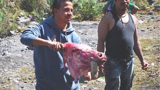 We Ate Tacos From a Freshly Killed & Butchered Cow in Rural Veracruz, Mexico