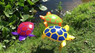 Florida Dancing Birds® Turtles