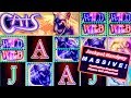 $50 HIGH LIMIT SLOT MACHINE BETS! ★ HANDPAY ON CATS ...