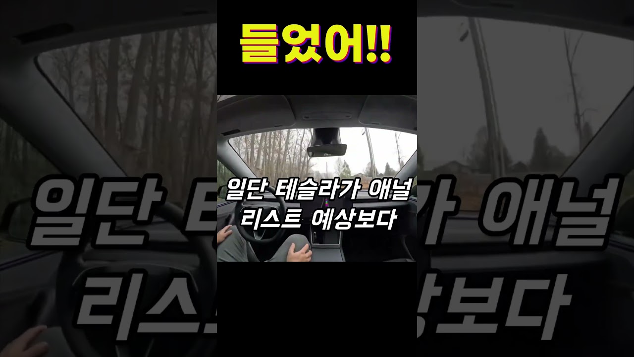 속보] 충격 머스크형 네덜란드 중고차 시장 뒤집은 테슬라 모델...!