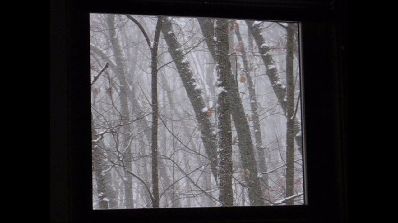 Snow - Dec 28, 2007, Grand Rapids, Michigan
