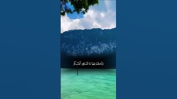 #آيات من القرآن الكريم #قران_كريم #قرآن #المصحف #quran #اكسبلور #راحة_نفسية