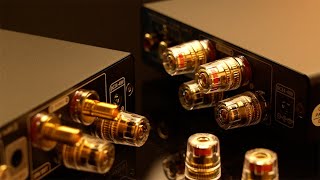 Introducing the Stunning New Look of Aiyima A07 Max Amplifier!