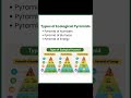 Ecological Pyramid Explained | UGC NET EVS | MSc