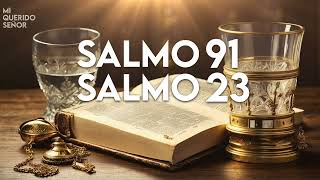 SALMO 91 SALMO 23 'ORACION de LIBERACION' #salmos #salmo91 #oraciónpoderosa