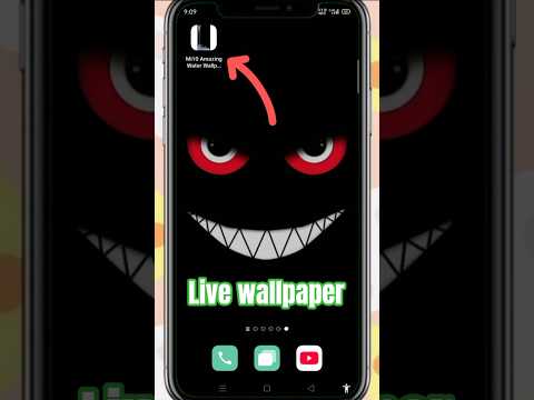 Silly Smile Live