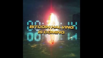 ⏰ Counting down the days to $BTC Halving? 👀