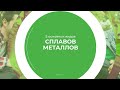 Дистанционный курс обучения «Металловед» - 5 основных видов сплавов металлов