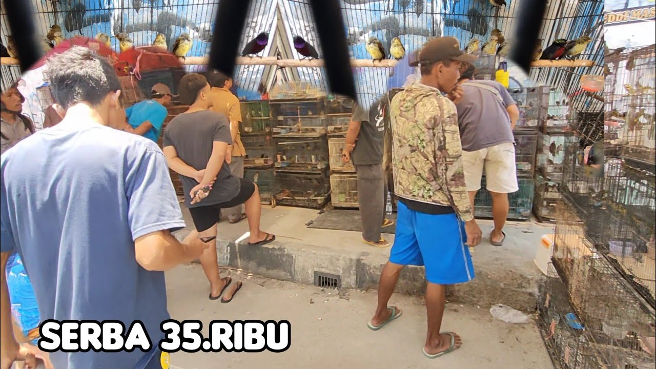 TINGGAL PILIH SERBA 35.RIBU - YouTube