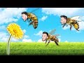 SIMULÁTOR VČELY! | Bee Simulator