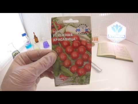 Томат Южная Красавица F1. СеДеК