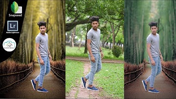 How To  Change background in snapseed Tutorials | With Lightroom Colour Effect🔥