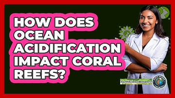 How Does Ocean Acidification Impact Coral Reefs?