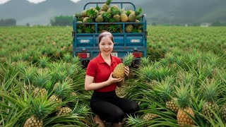 Timelapse - Harvesting 1000 Giant Green Pineapples Go To Market Sell, Taking Care Vegetable Garden