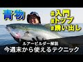 【青物入門者必見】青物トップ誘い出し入門