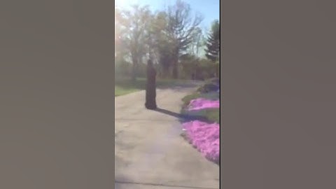 Undertaker found: Part 1