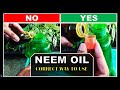 Neem oil for plants how to use