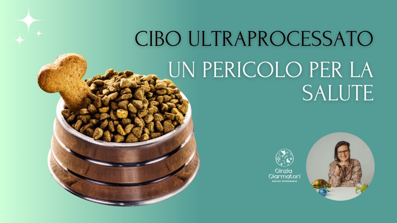 Cibi ultraprocessati, un pericolo per la salute degli animali - YouTube