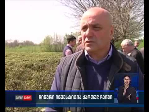 ჩინური ინვესტიცია სამეგრელოში