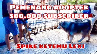 SPIKE NALA ketemu LEXI , Pemenang ADOPTER 500.000 Subscriber ! - VLOG