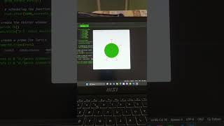 Create an Epic Coronavirus GUI with Tkinter and Turtle in Python  Fun & Easy Coding Tutorial!#python