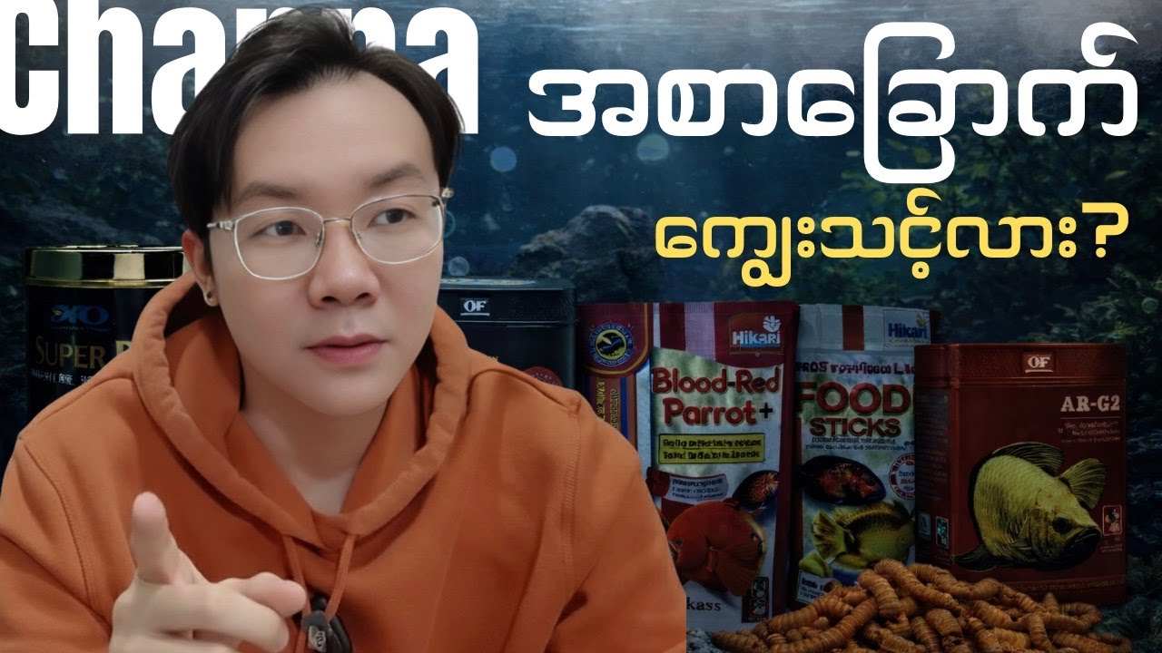 EP86: ငါးရံ့နှင့်အစာခြောက်