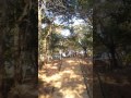唐八景公園歩き登り