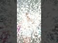 Bailecito de Amor paisano